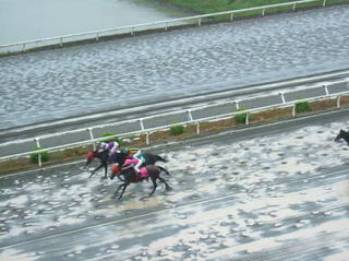 高知競馬場1