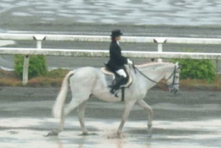 高知競馬場3