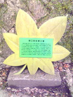 箕面6